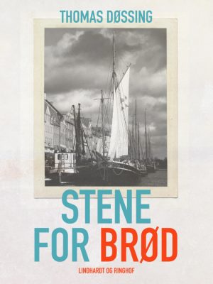 Stene for brød (E-bog)