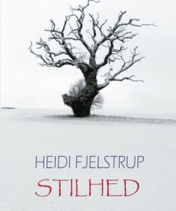 Stilhed - Heidi Fjelstrup - Cd Lydbog