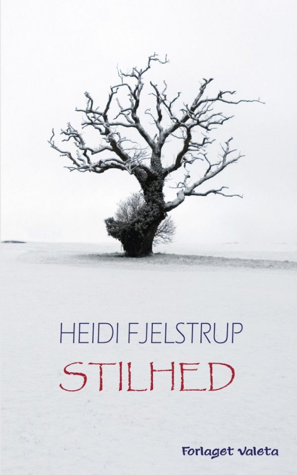 Stilhed - Heidi Fjelstrup - Cd Lydbog