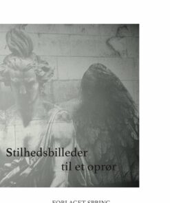 Stilhedsbilleder Til Et Oprør - Lene Henningsen - Bog