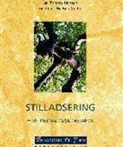 Stilladsering - En Pædagogisk Metafor - Klaus Nielsen - Bog