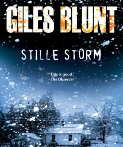 Stille Storm - Giles Blunt - Bog