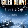 Stille storm (Bog)