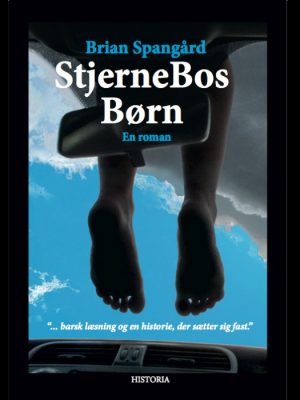 StjerneBos Børn (E-bog)