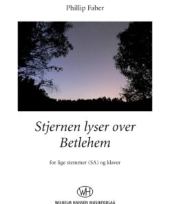 Stjernen lyser over Betlehem (SA) (E-bog)