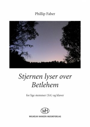 Stjernen lyser over Betlehem (SA) (E-bog)