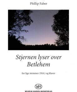 Stjernen lyser over Betlehem (SSA) (E-bog)