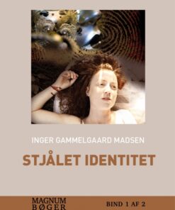 Stjålet identitet (storskrift) (Bog)