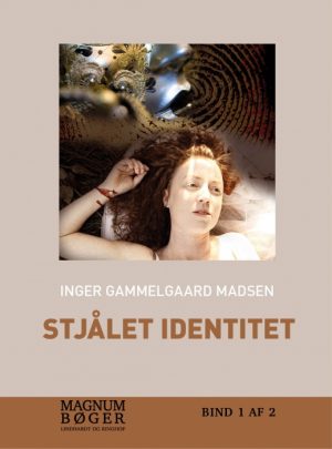 Stjålet identitet (storskrift) (Bog)