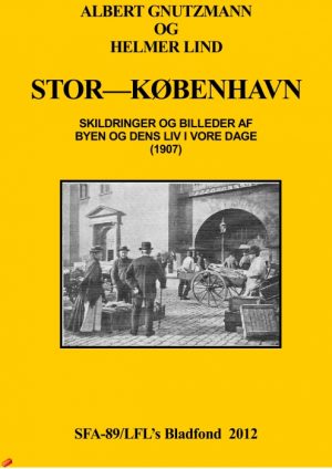 Stor-København (E-bog)