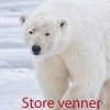 Store venner (E-bog)