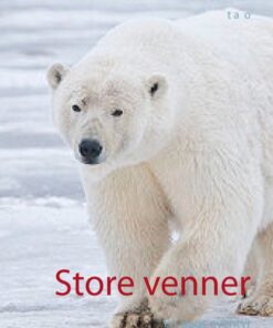 Store venner (E-bog)