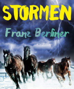 Stormen (E-bog)