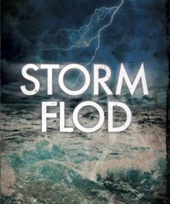 Stormflod (Bog)