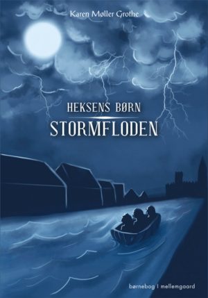 Stormfloden (Bog)