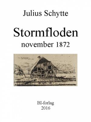 Stormfloden november 1872 (E-bog)