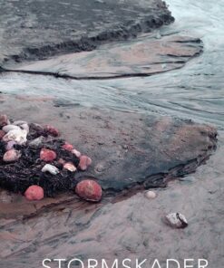 Stormskader - Katrine Grünfeld - Bog