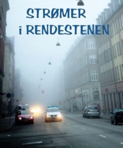 Strømer i rendestenen (Bog)