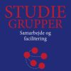 Studiegrupper (Bog)