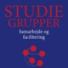 Studiegrupper - Ib Ravn - Bog
