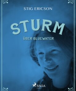 Sturm über Bluewater (E-bog)