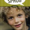 Styrk Dit Barns Sprog 3-6 år - Gry Hodal - Bog