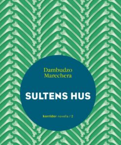 Sultens Hus - Dambudzo Marechera - Bog
