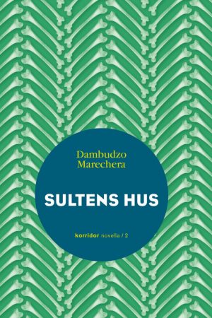 Sultens Hus - Dambudzo Marechera - Bog