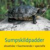Sumpskildpadder (Bog)