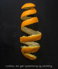 Sustainable Creativity - Ole Rahbek - Bog