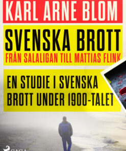 Svenska brott - från Salaligan till Mattias Flink: en studie i svenska brott under 1900-talet (E-bog)