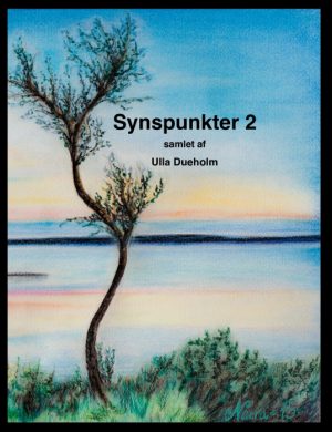 Synspunkter 2 (Bog)