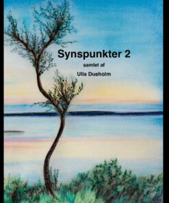 Synspunkter 2 - Ulla Dueholm - Bog