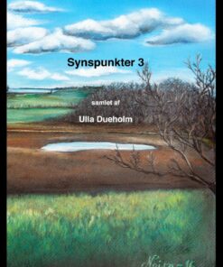 Synspunkter 3 - Ulla Dueholm - Bog