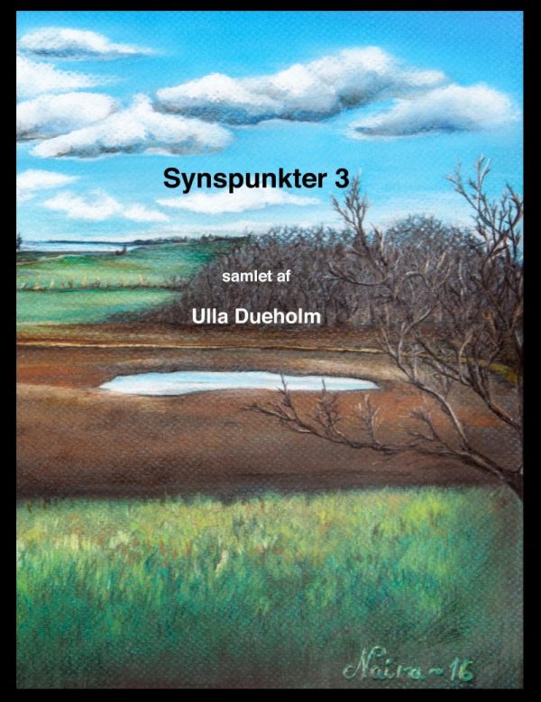 Synspunkter 3 - Ulla Dueholm - Bog