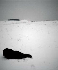 Syv - Tina Enghoff - Bog