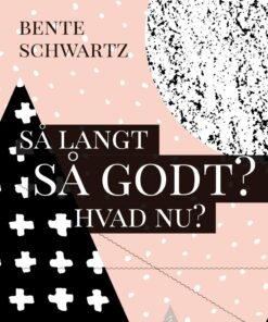 Så Langt - Så Godt? Hvad Nu? - Bente Schwartz - Bog