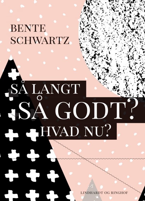 Så Langt - Så Godt? Hvad Nu? - Bente Schwartz - Bog