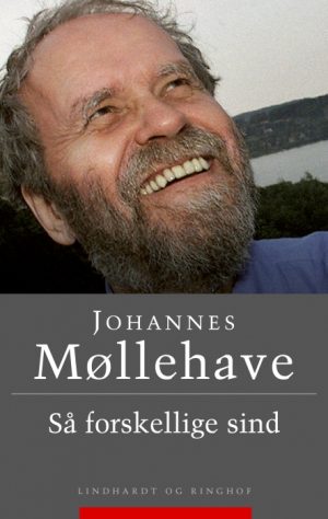 Så forskellige sind (E-bog)
