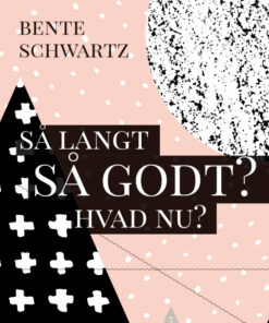 Så langt - Så godt? Hvad nu? (Bog)