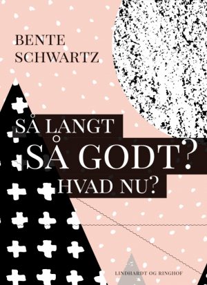 Så langt - Så godt? Hvad nu? (Bog)