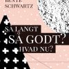 Så langt - Så godt? Hvad nu? (E-bog)