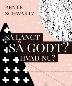 Så langt - Så godt? Hvad nu? (E-bog)