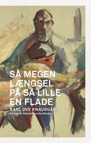 Så megen længsel på så lille en flade (E-bog)