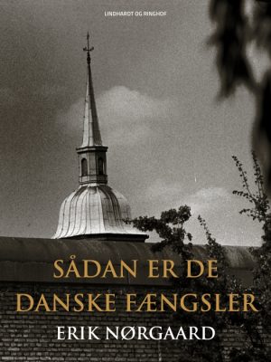 Sådan er de danske fængsler (Bog)