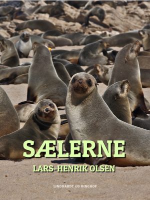 Sælerne (E-bog)