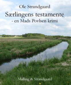 Særlingens testamente (E-bog)