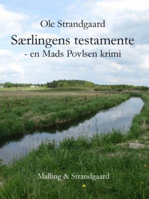 Særlingens testamente (E-bog)