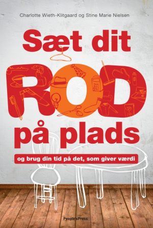 Sæt dit rod på plads (E-bog)