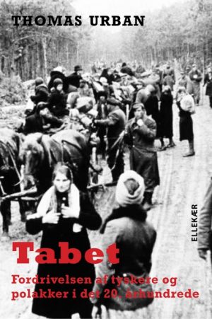 Tabet (Bog)